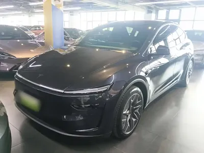 Tesla Model Y L