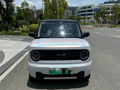 Galaxy Panda