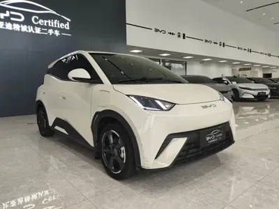 BYD Seagull