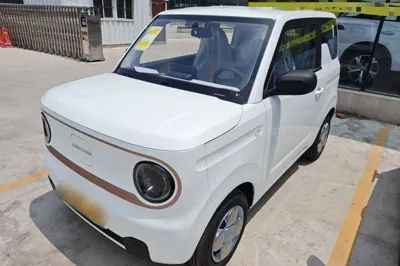 Geely Galaxy Panda