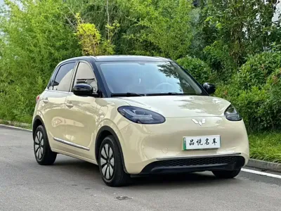 Wuling Bingo