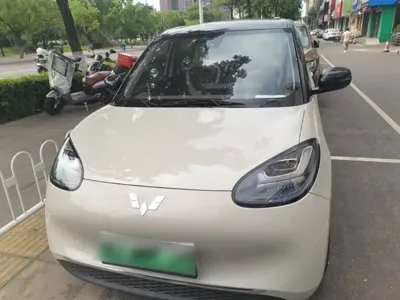 Wuling Bingo