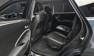 Hyundai Maxcruz