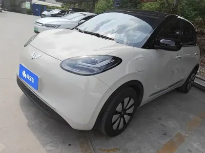 Wuling Bingo