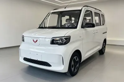 Wuling Zhiguang New Energy