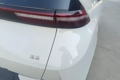 BYD Seagull