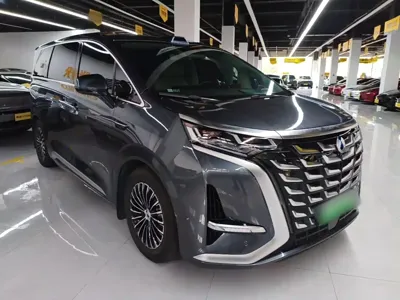 Denza Denza D9