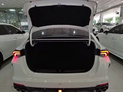 GAC Motor Shadow Leopard