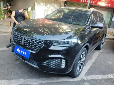 WEY Wey VV6