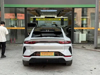 BYD L EV
