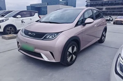 BYD Dolphin