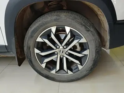 Haval Big Dog