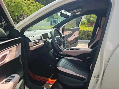 BYD Seagull