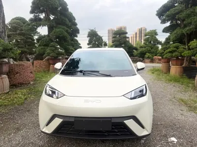 BYD Seagull