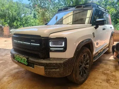 Haval Menglong New Energy