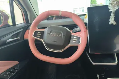 NETA V