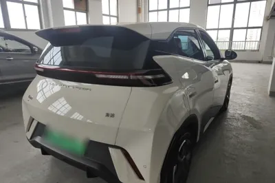 BYD Seagull