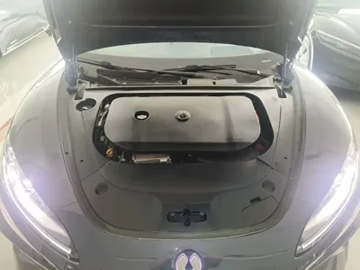 Denza Denza Z9