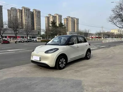 Wuling Bingo