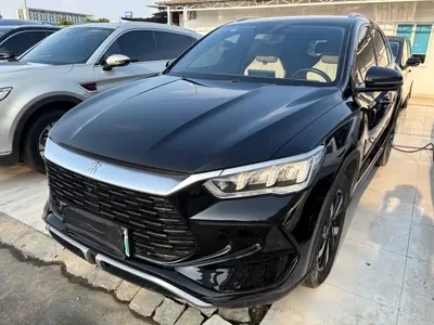 BYD Pro New Energy