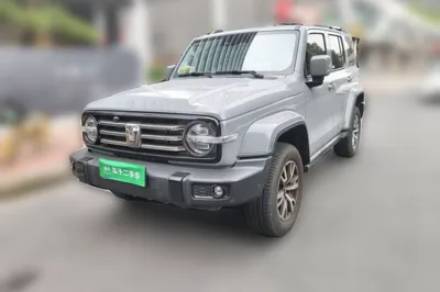 Tank 300