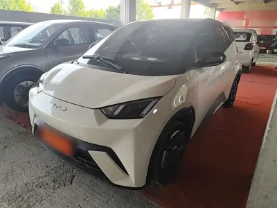 BYD Seagull