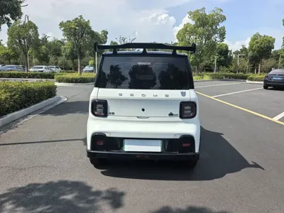 Galaxy Panda