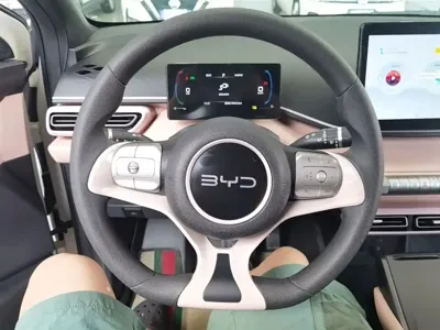 BYD Seagull