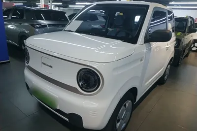 Geely Galaxy Panda