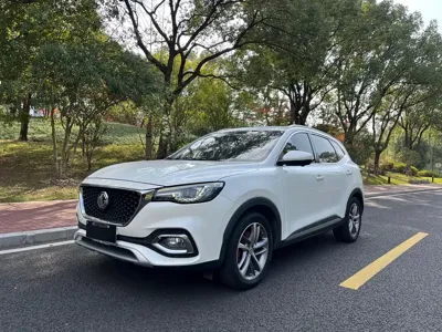 MG HS