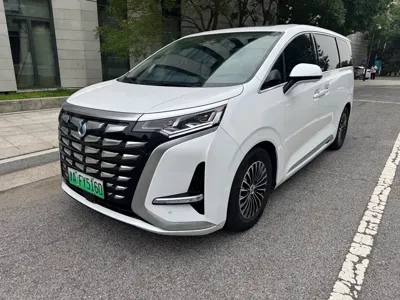 Denza Denza D9
