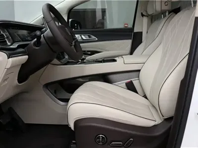 Denza Denza D9