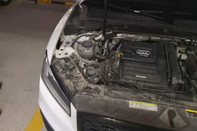 Audi Q2L