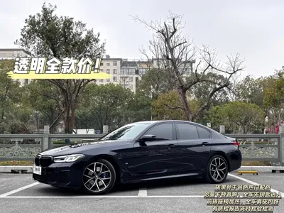 BMW 5 Series (Import)