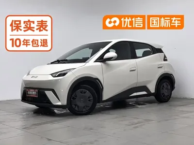 BYD Seagull