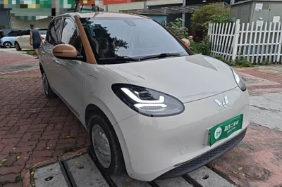 Wuling Bingo