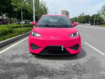 BYD Seagull