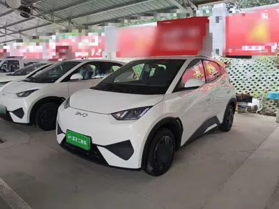 BYD Seagull