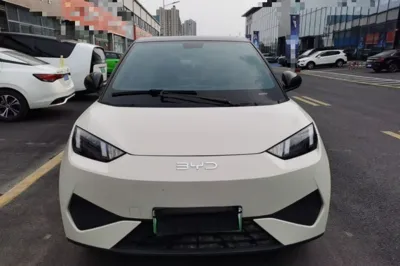 BYD Seagull
