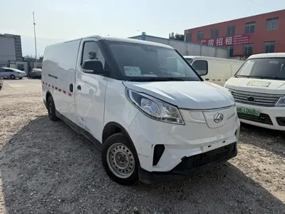 大通 EV30