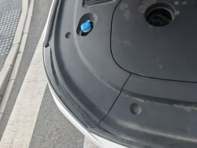 NETA Neta L