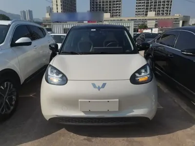 Wuling Bingo