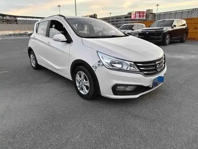 Baojun 310