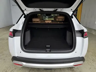 BYD L DM-i