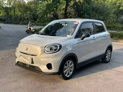 Leapmotor Leapmotor T03