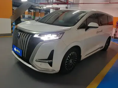 Denza Denza D9