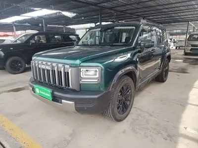 Haval 哈弗猛龙燃油