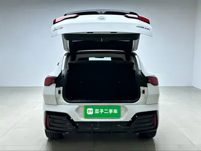 BMW X2 (Import)