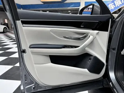 BYD PLUS New Energy