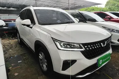 Wuling Alvez